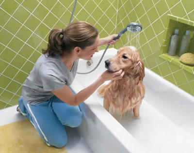 Bath Time – What You Should Know About Bathing Your Pet‏