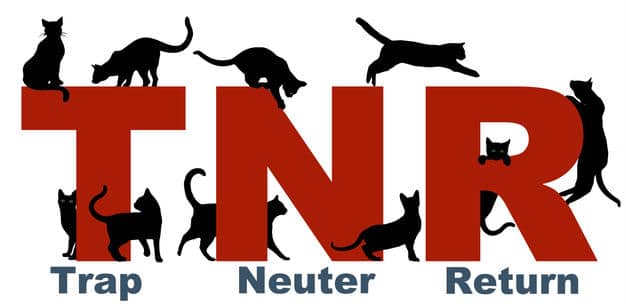 The Neighborhood Cats TNR Workshop