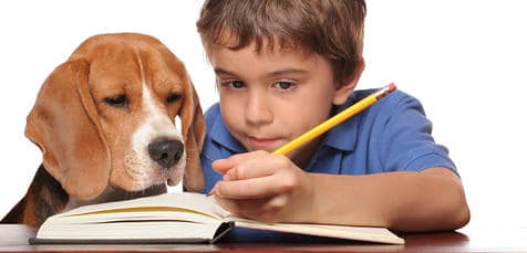Pets get the Back-to-School Blues, too!