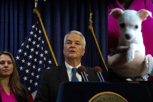 Staten Island D.A. McMahon announces new Animal Cruelty Prosecution Unit