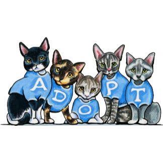 June is Adopt-A-Shelter-Cat Month