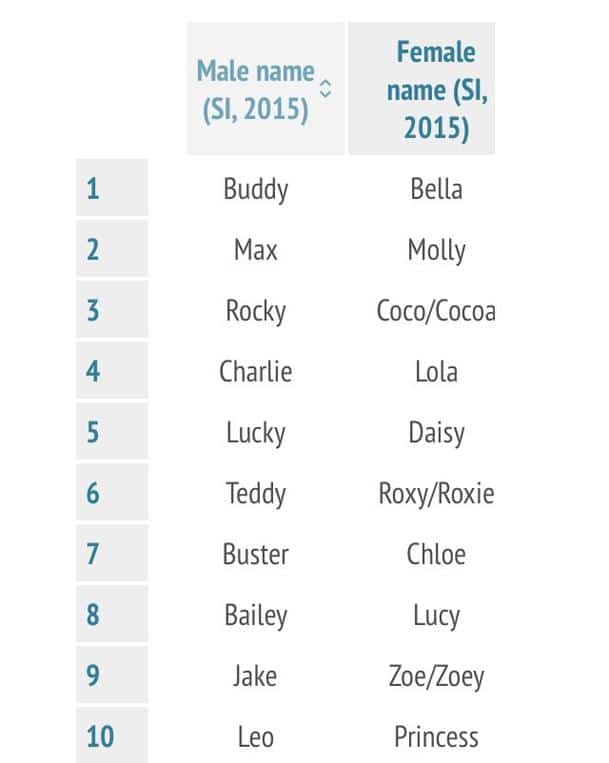 What Are the Most Popular Dog Names on Staten Island?