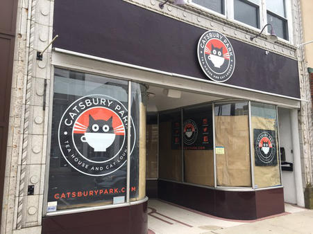 Catsbury Park  Cat  Caf  opens in NJ Happy  at Home