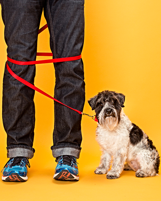 Are Retractable Leashes Safe for You and Your Dog?