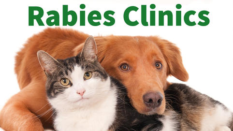 FREE Rabies Clinic for Cats and Dogs