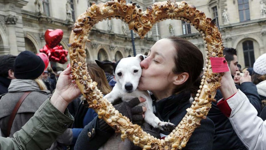10 Reasons Your Dog Makes the BEST Valentine’s Date